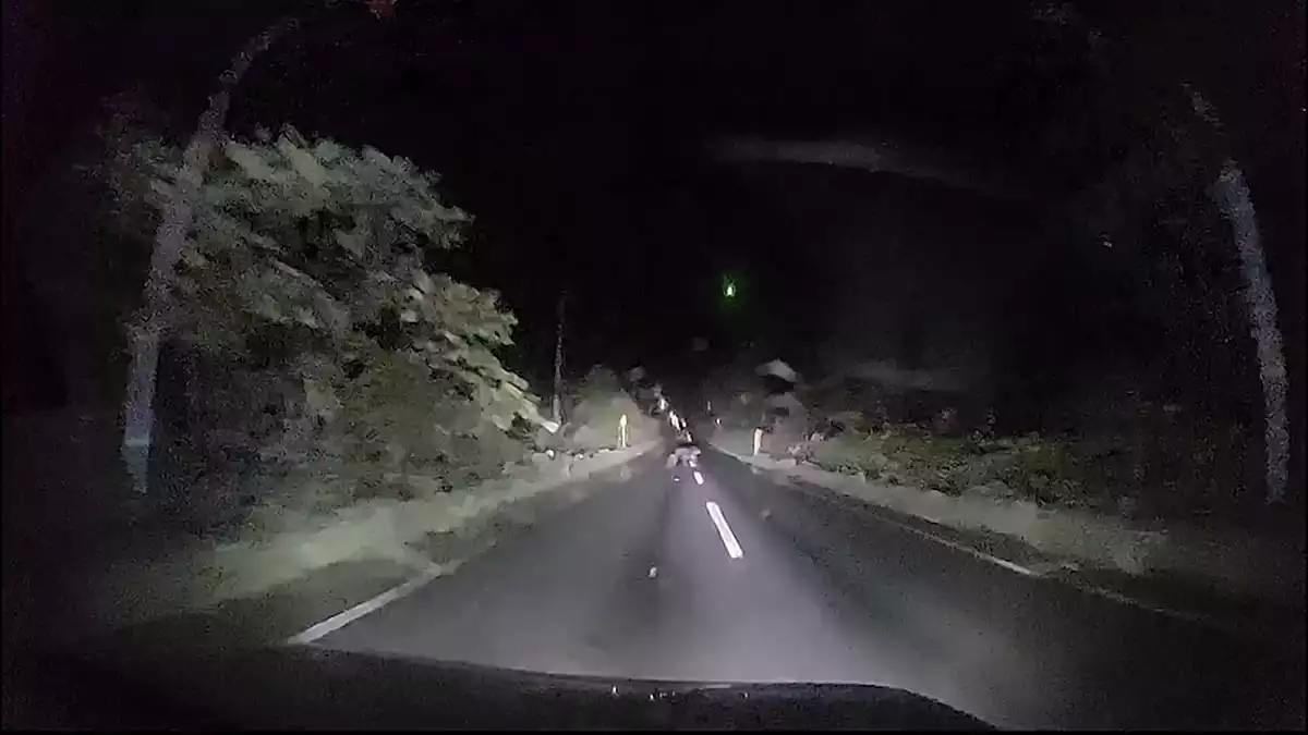 Video shows bear slamming into car in northern Japan