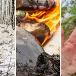 Neanderthals may have used prehistoric glue as an ancient antibiotic