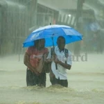 The usual suspects stole the rains and are likely, yet again, to get away...