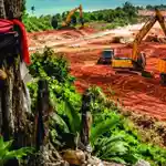 When bulldozers meet gods: The rituals of calming stubborn spirits on Coast project sites