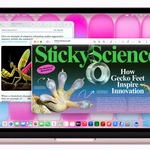 Why is this the only pink MacBook available right now?