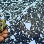 Archaeologists may have finally solved a 100-year-old Florida mystery