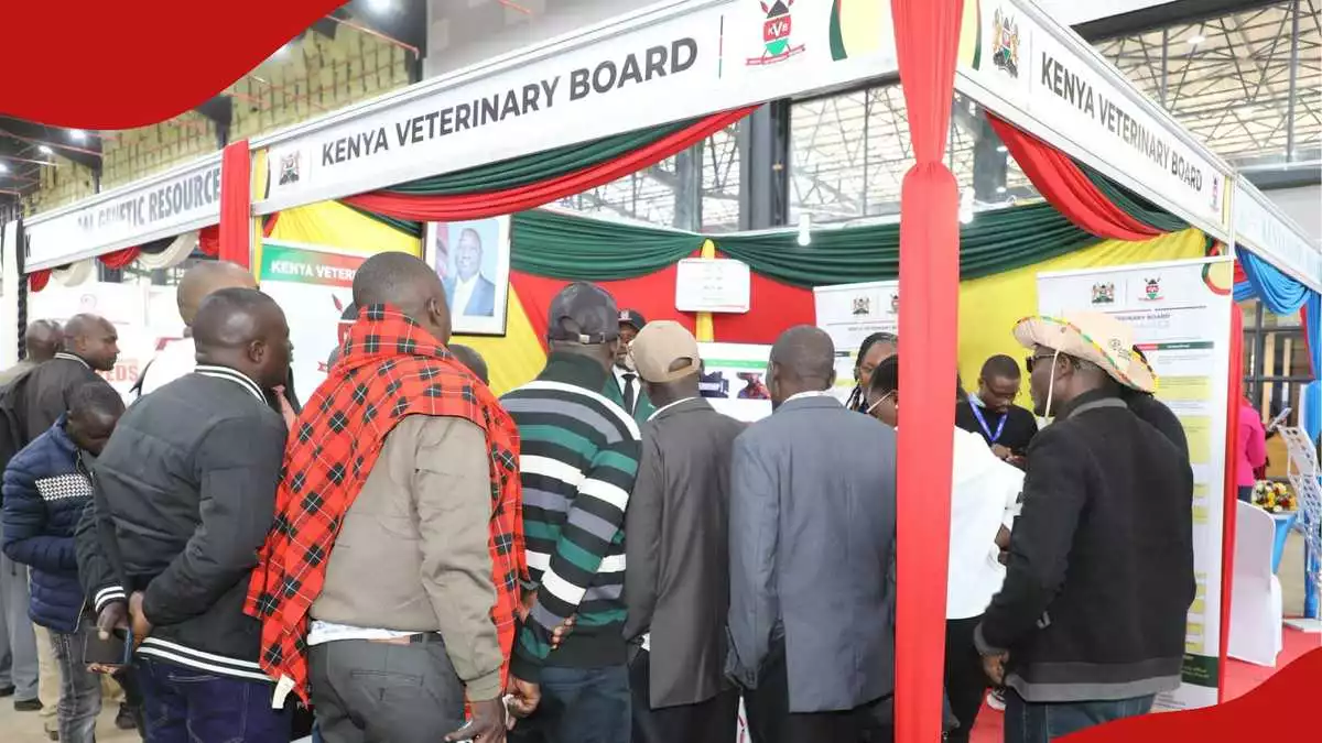 Kenya Veterinary Board lists top vacant positions for Kenyans to apply in October