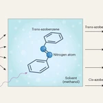 Beyond the solvent fog: watching molecules dance in the crowd