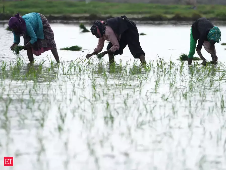 When the rains fall short, so does farm growth 