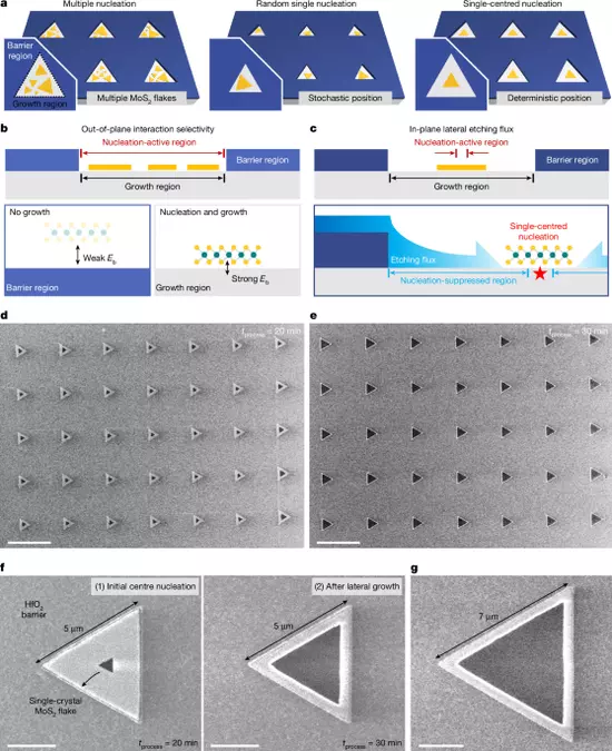 Spatially deterministic nucleation of 2D semiconductors by etching flux
