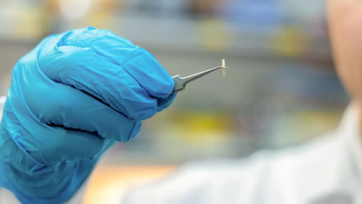 Scientists created a tiny device that can control your nerves to treat chronic pain