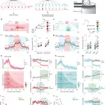A split attractor design for rapidly writing a navigational goal
