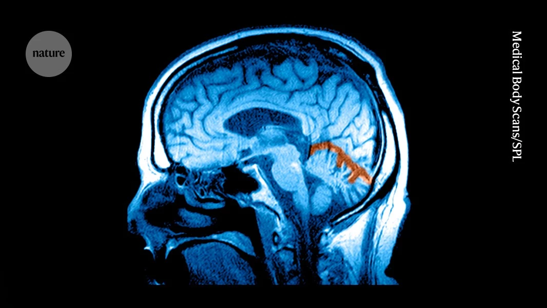 Can GLP-1s heal the brain? Obesity drugs get a makeover for addiction and depression