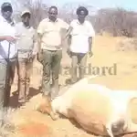 MPs summon Murkomen, Kanja over Samburu livestock killings