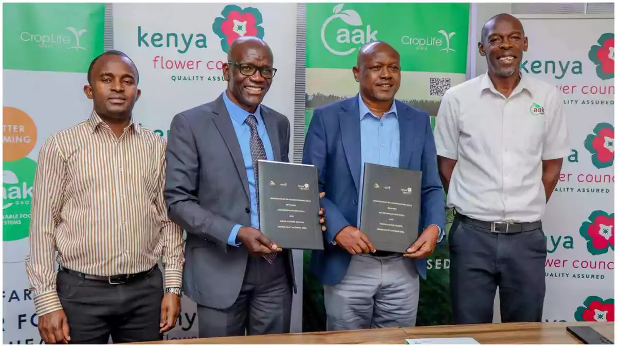 Kenya flower farms move to tackle pesticide container waste through new partnership