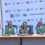 Over 17 million trees targeted as Kenya marks Mazingira Week 2026