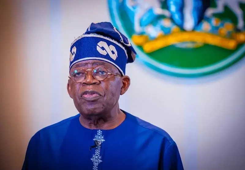 2027: Nigerians ready to vote Tinubu out, says APM