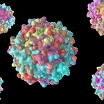 Location, location, location: how to edit genes only in the cells you want