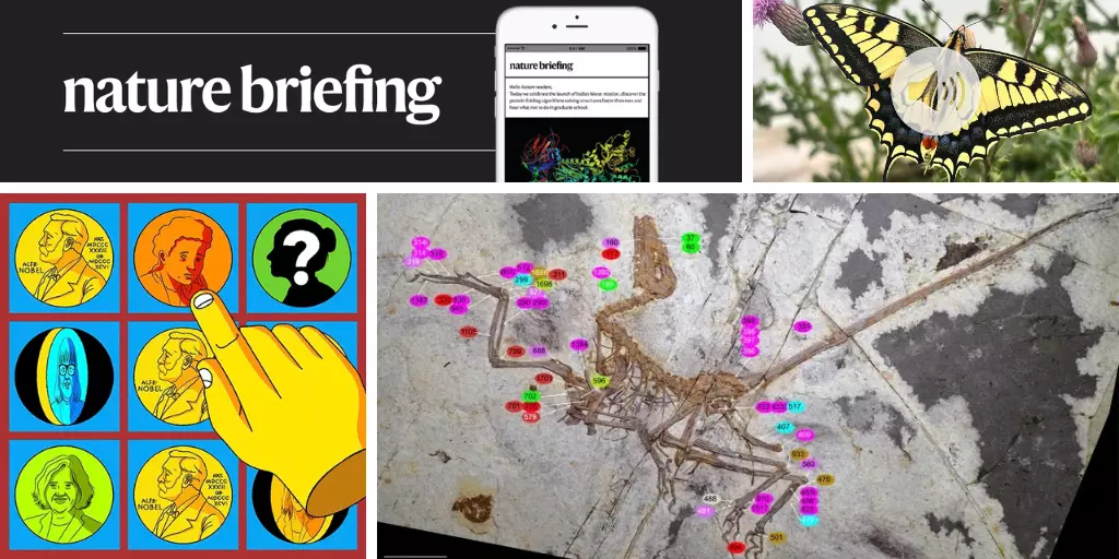 Daily briefing: Can you name every female Nobel laureate?