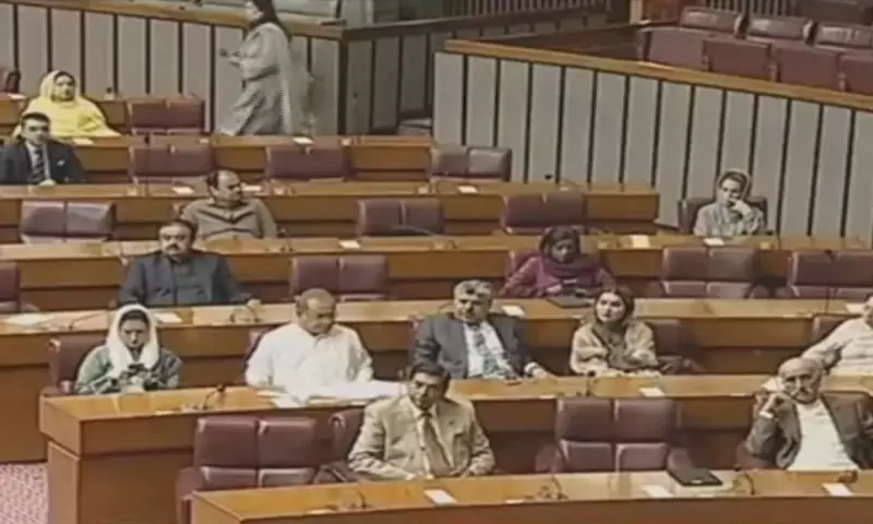 National Assembly passes resolution endorsing Centre's imposition of emergency in KP