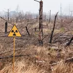 40 years later, Chernobyl's nuclear fallout is not what scientists expected