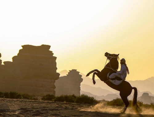 Horse riding 