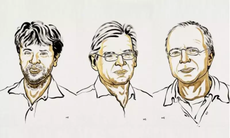 Particle physics, astrophysics and 'invisibility cloak' tipped for physics Nobel