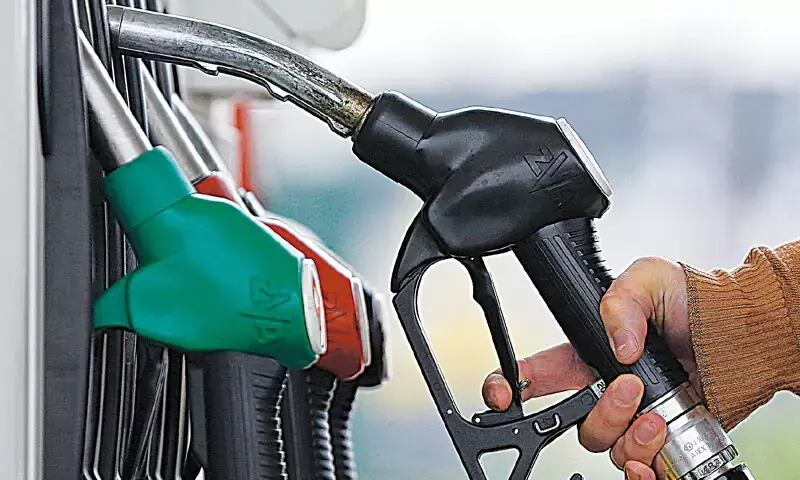 Govt drops petrol price by Rs3.93 per litre, high-speed diesel rate unchanged