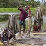 Cultivators’ organisation accuses Assam government of trying to take over grazing land for corporate interests