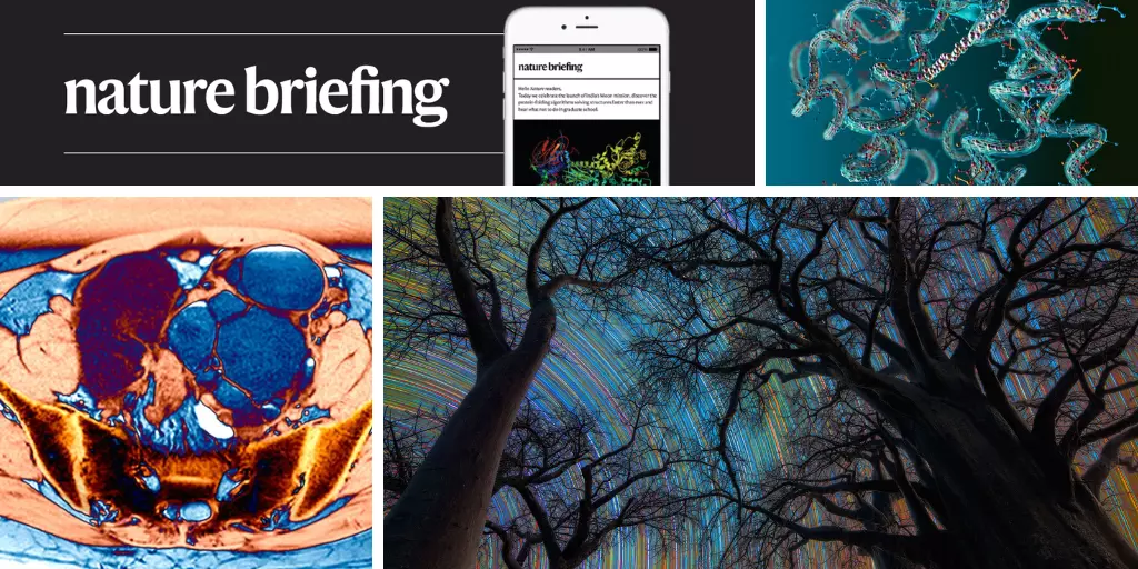 Daily briefing: The sky as you’ve never seen it — the month’s best science images