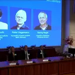 US, German scientists win Nobel medicine prize for work on light and brain