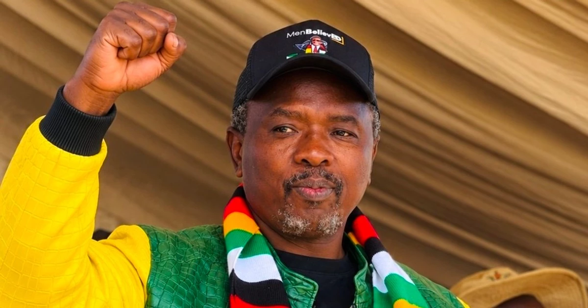 Zimbabwe puts US-sanctioned tycoon in charge of attracting investment after splitting finance ministry