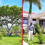 PS Ouma Oluga's Beautiful Siaya Home Nestled in Lush Greenery Impresses Kenyans