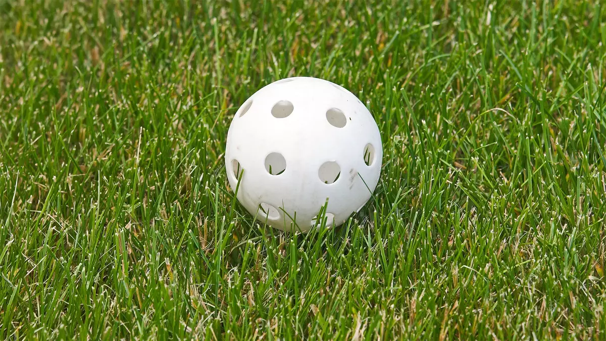 A 13-Year-Old Built a Backyard Wiffle Ball Stadium. Now His Family Owns the 73-Year-Old Brand