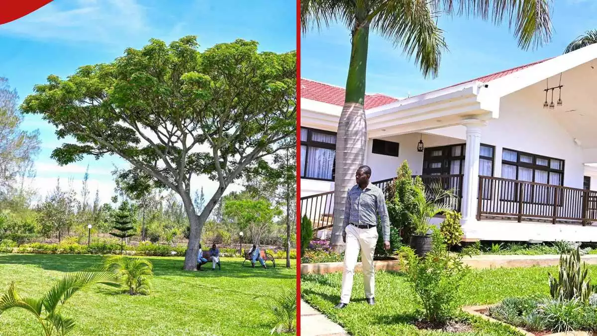PS Ouma Oluga's Beautiful Siaya Home Nestled in Lush Greenery Impresses Kenyans