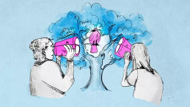 Birdwatching rewires the brain and slows cognitive decline