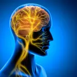 Vagus Nerve Stimulation Could Help New Skills Stick