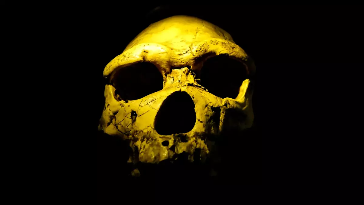 Scientists found Homo erectus 200,000 years earlier than expected