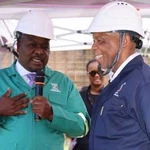 Mark Levy-led Blu Label unit begins $22 million solar project under 20-year South African power deal