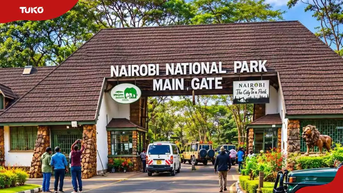 Nairobi National Park entry fees: What residents and non-resident tourists pay