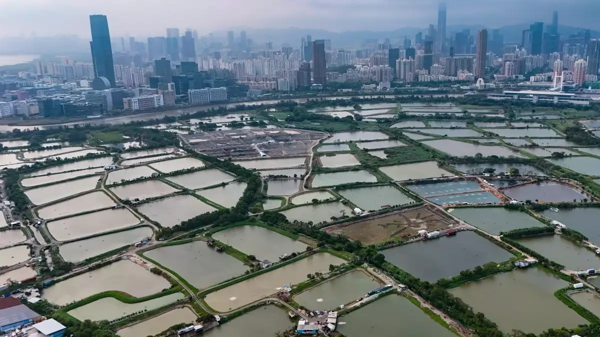 San Tin tech hub operator pledges affordable land to attract tenants