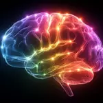 Yale scientists discover how stress changes the brain to make memories stronger