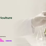 MENA Regenerative Agriculture Venture Programme 2026/2027: Empowering Researchers and Innovators to Build Sustainable Agricultural Solutions
