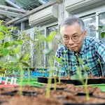 Spirit of Hong Kong Awards: scientist’s soybean research pushes agricultural frontier
