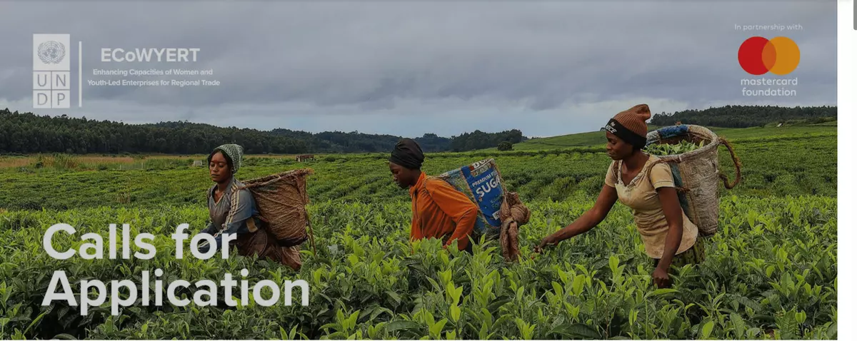UNDP ECoWYERT Program 2025–2030: Empowering Women, Youth, Entrepreneurs, and Traders for Regional Trade Growth Across Africa