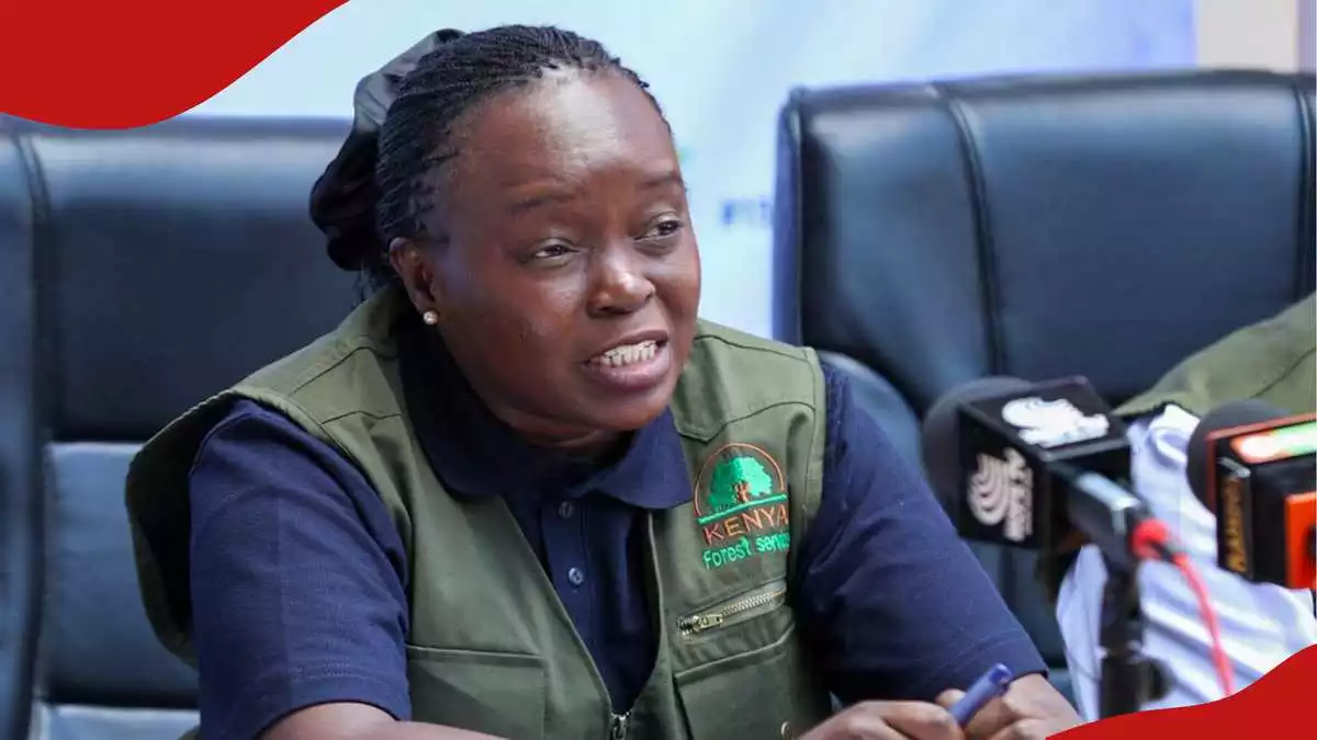 Kenya Forest Service invites businesses to register for 62 open opportunities