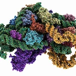 Cells, who needs them? Biochemists turn to proteins in a tube