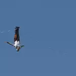 Estonian slackliner takes on 120-metre-high line above Seoul