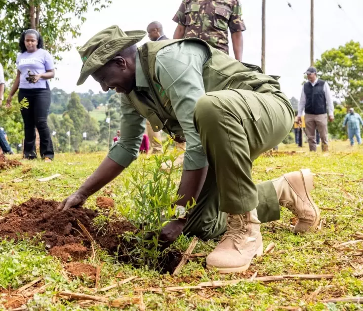 President Ruto leads Mazingira Day celebrations in Trans Nzoia amid deforestation concerns