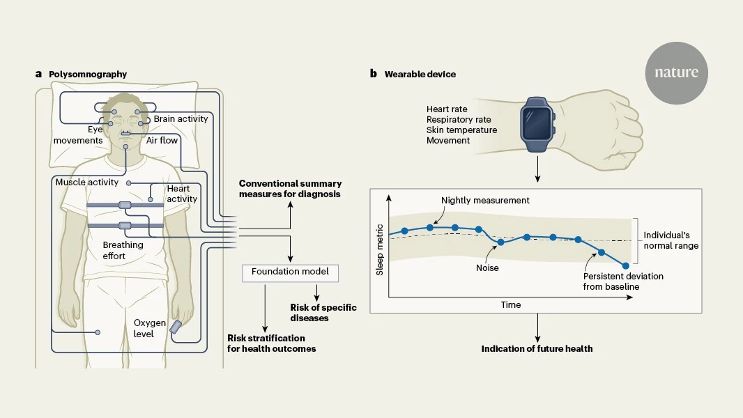 Hidden signals in sleep can predict future health