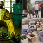 Chinese police crack real-life ‘Breaking Bad’ drug lab, arresting ex-chemistry professor