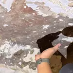 Indonesian wildfires threaten world’s oldest cave paintings in Sulawesi