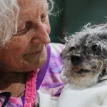 Can science make your dog live longer? Longevity craze comes to pets