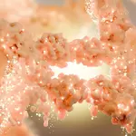 Scientists discover a hidden switch that burns fat and blocks new fat cells